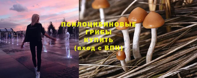 дарк нет формула  KRAKEN ONION  Псилоцибиновые грибы Cubensis  Дедовск  закладка 